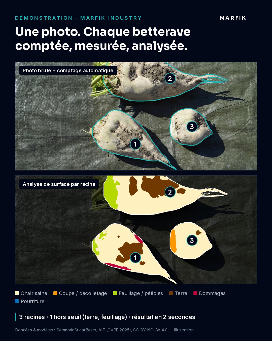 Visuel de la démonstration : photo brute avec comptage automatique, puis analyse de surface par racine.